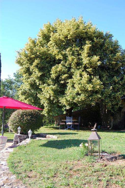 Bergerie Des Suanes Acomodação com café da manhã Fayence Exterior foto